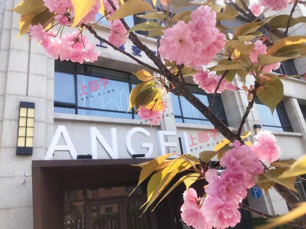 中秋免费DIY月饼、甜品烘焙、穿汉服...上海近20家托育园、幼儿园活动出炉！年龄符合就可报名！附预约通道！相关资料 112