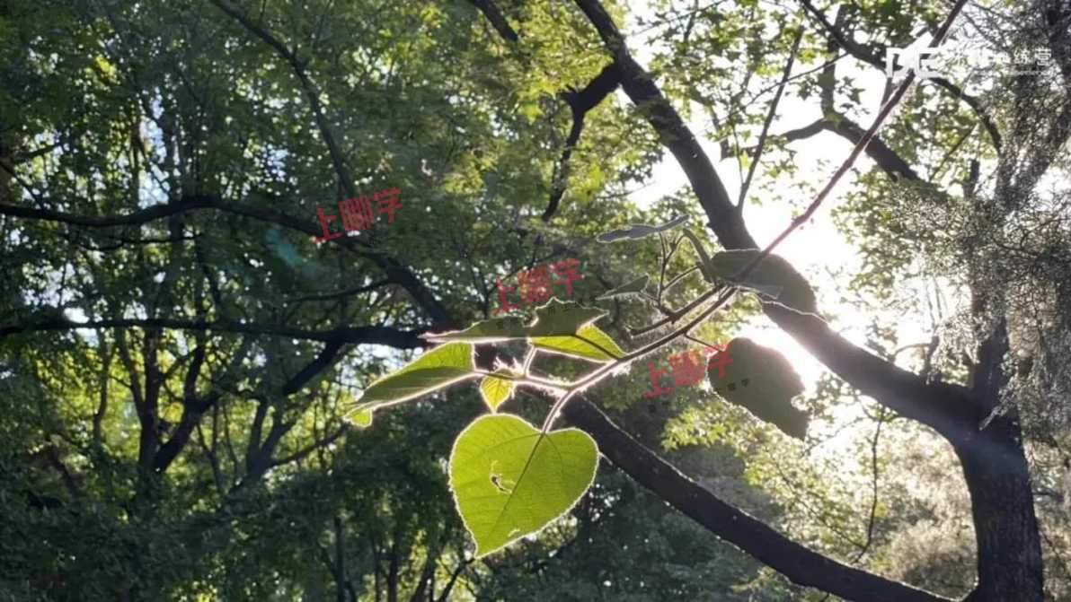教育干货 | 美国心理学家验证了这五大原则可以有效激发孩子内在的驱动力，让孩子变得更加优秀！相关资料