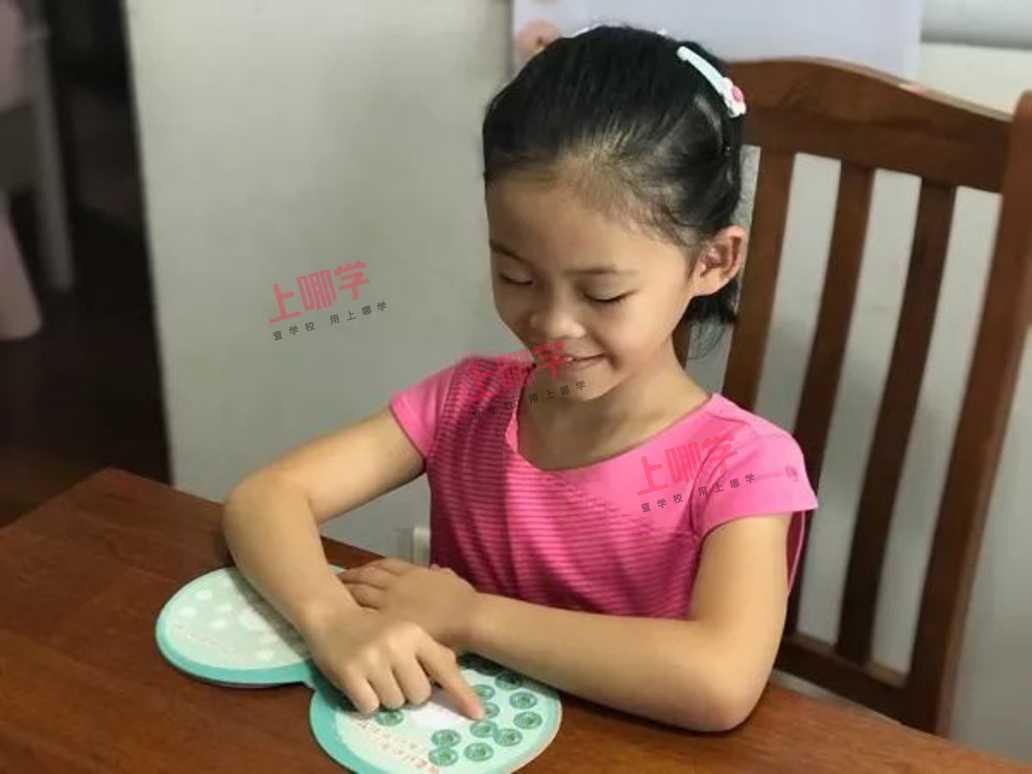 新普陀小学: 写完作文自己改, 个个都是"评论家"!相关资料 3