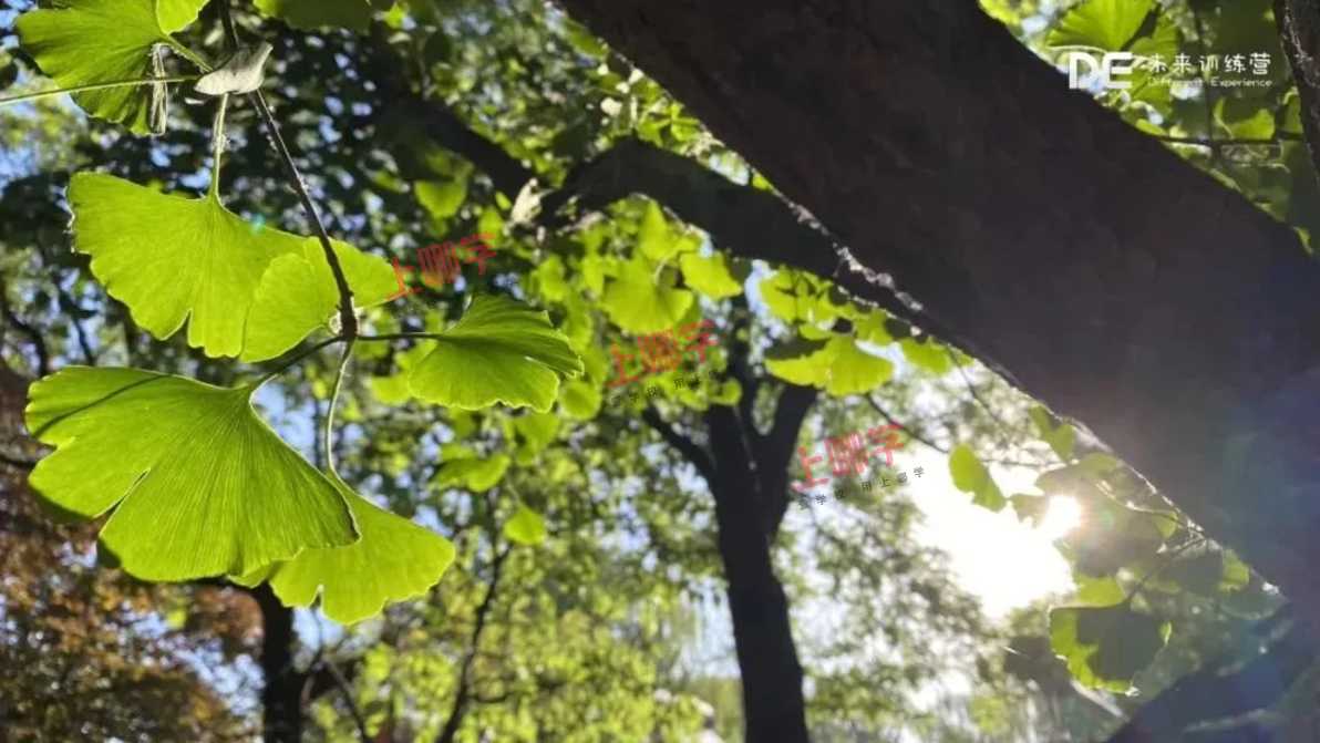 教育干货 | 美国心理学家验证了这五大原则可以有效激发孩子内在的驱动力，让孩子变得更加优秀！相关资料 2