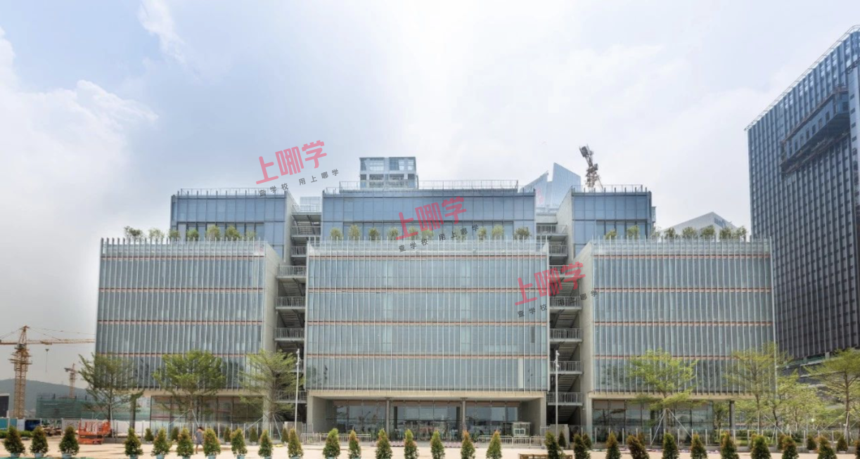 无房产限制！深圳这14所国际幼儿园学位压力小，可直升小学！相关资料 20