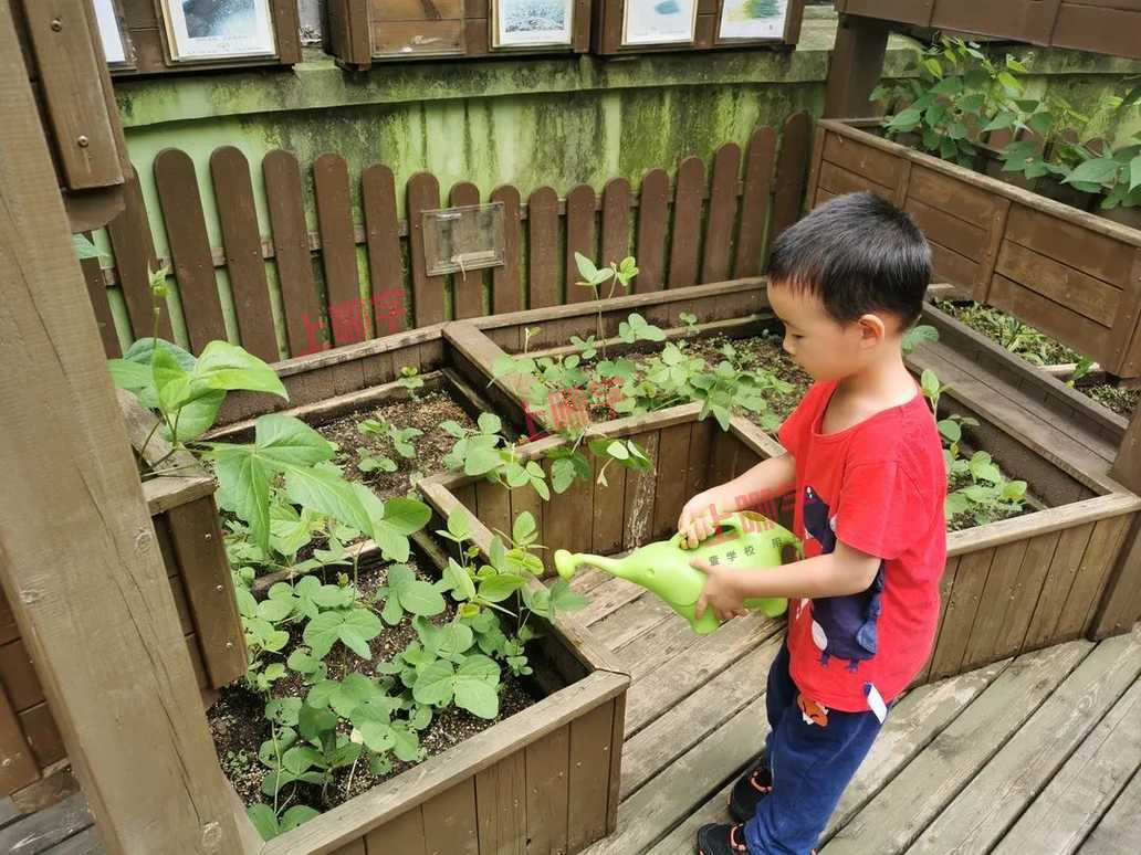 奥林幼儿园丨乐运动、享自然，一起走进黄浦区奥林幼儿园相关资料 2