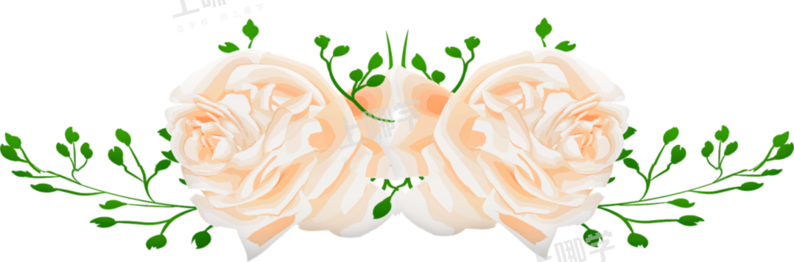 Kye 5月课程总结报告新鲜出炉啦 上哪学