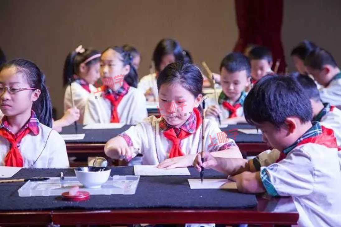 徐泾小学: 孩子们成了兴趣课小老师, 农场小菜农……相关资料