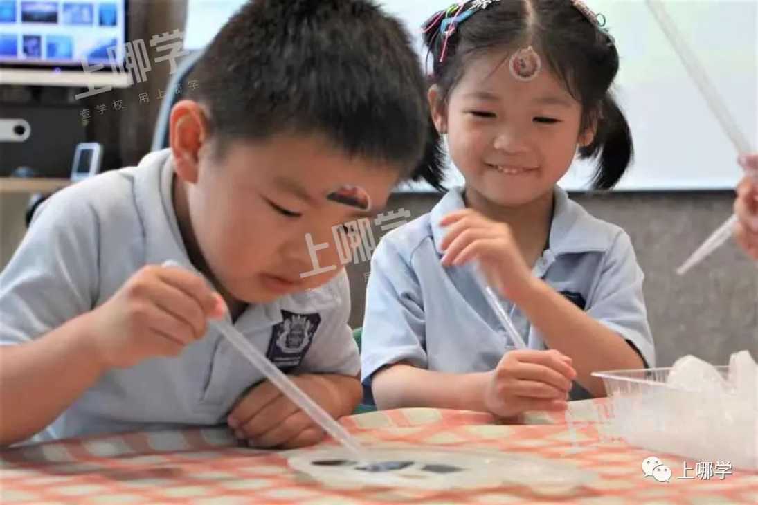 半日免费体验！长宁区这家中、英、日三国语言教学的幼儿园招生报名中~相关资料 7