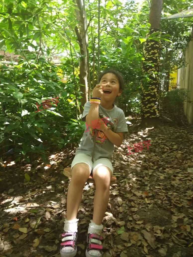 奥林幼儿园丨乐运动、享自然，一起走进黄浦区奥林幼儿园相关资料 5