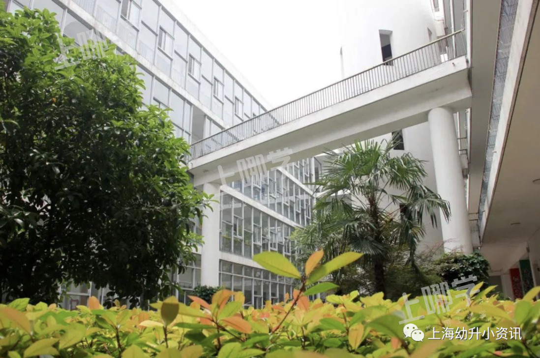 复旦科技园小学丨报出生优先！上海这所黑马小学对口初中超好！去年入户2个月就能进！相关资料 2