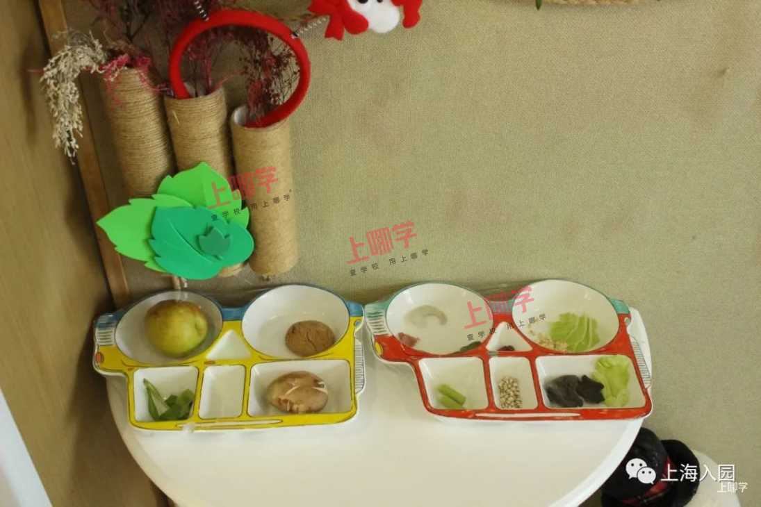 常青藤幼儿园丨家长注意！上海这家高端幼儿园&托育园11月校园开放日出炉！强大师资、超大占地面积，更有校车和晚托...相关资料 42