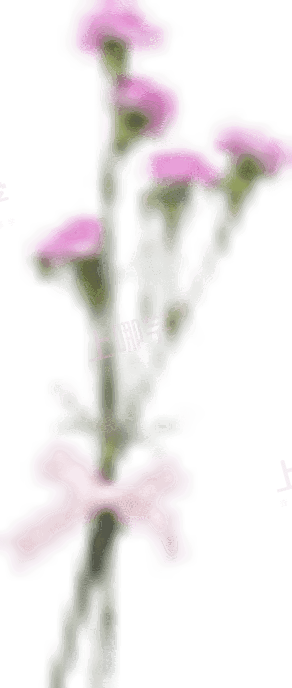 闵行世纪昂立幼儿园五月活动花絮袭来 上哪学