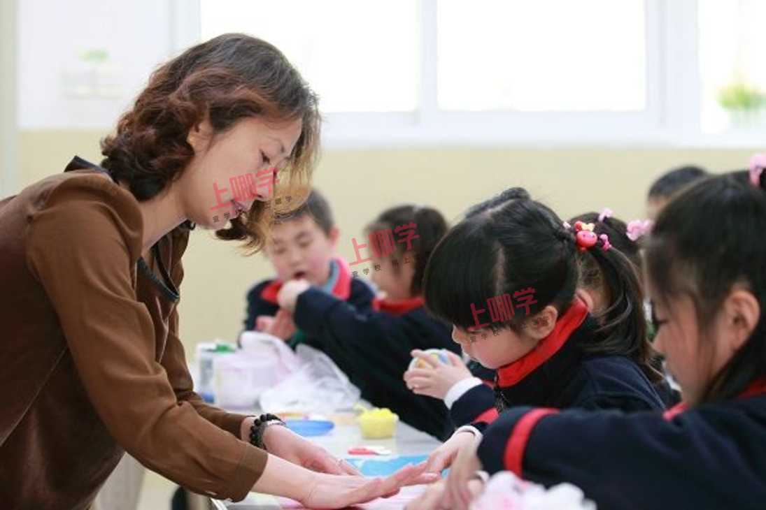徐汇实验小学: 上学太有趣，学生自称"小乐乐"相关资料