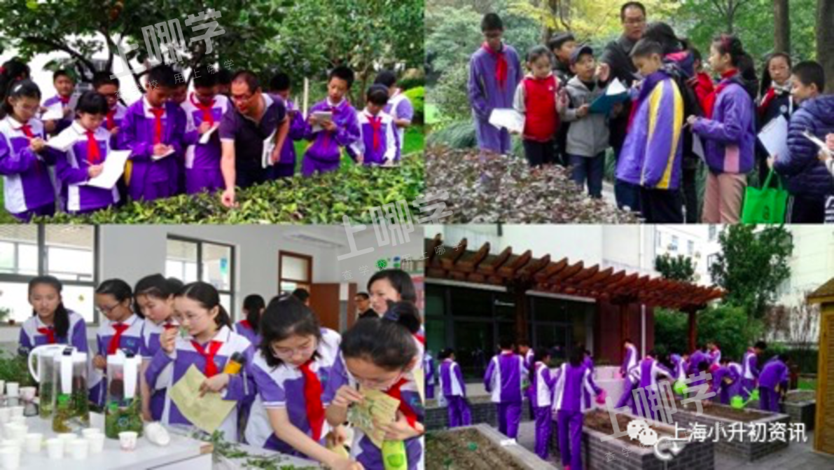 徐教院附中丨对口入学！上海这所优质公办初中师资超好，堪称民办！今年发布招生超额预警！相关资料 17