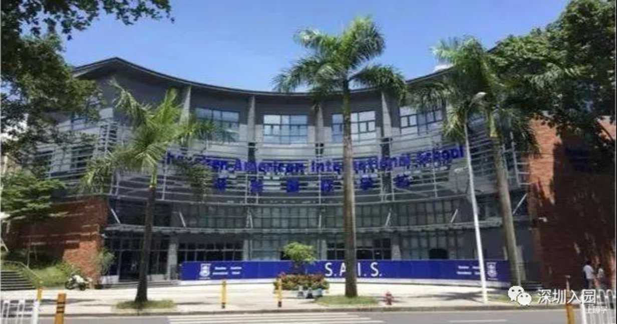 无房产限制！深圳这14所国际幼儿园学位压力小，可直升小学！相关资料 14