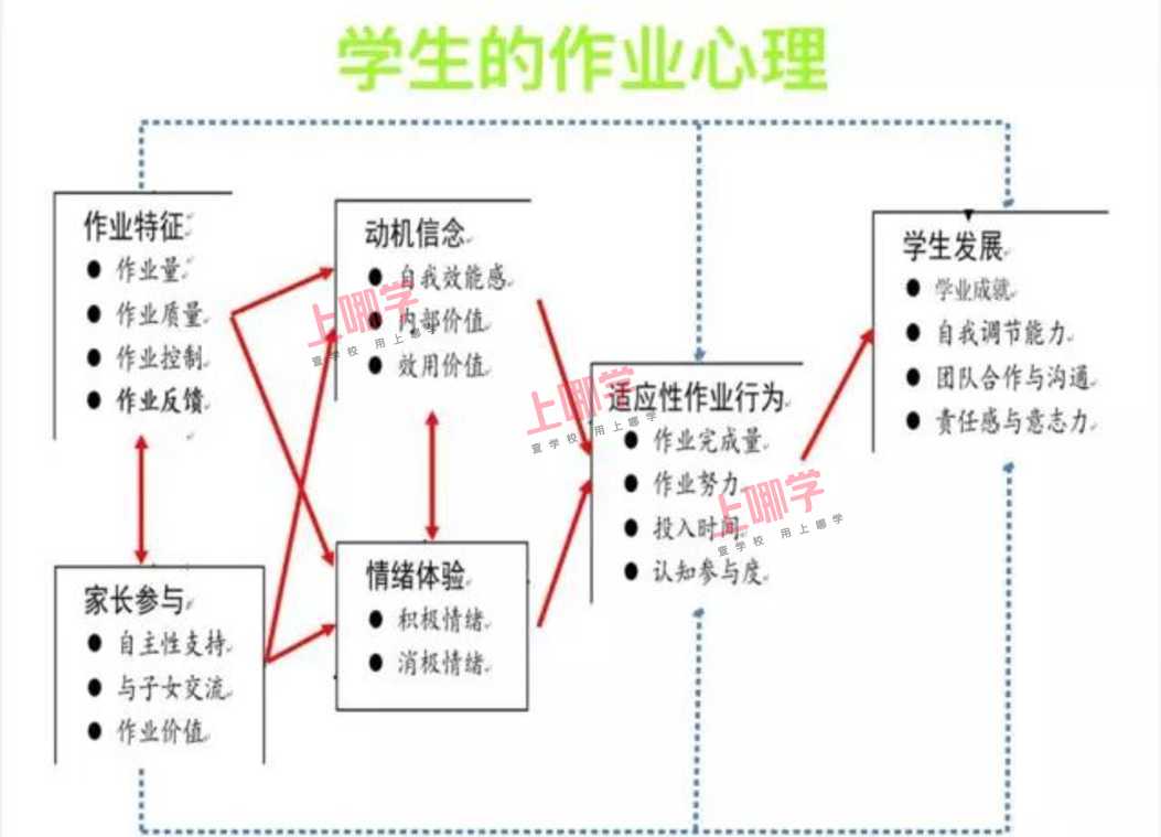 市教科院实验小学:学生自己设计作业,有趣有益有挑战!相关资料 3