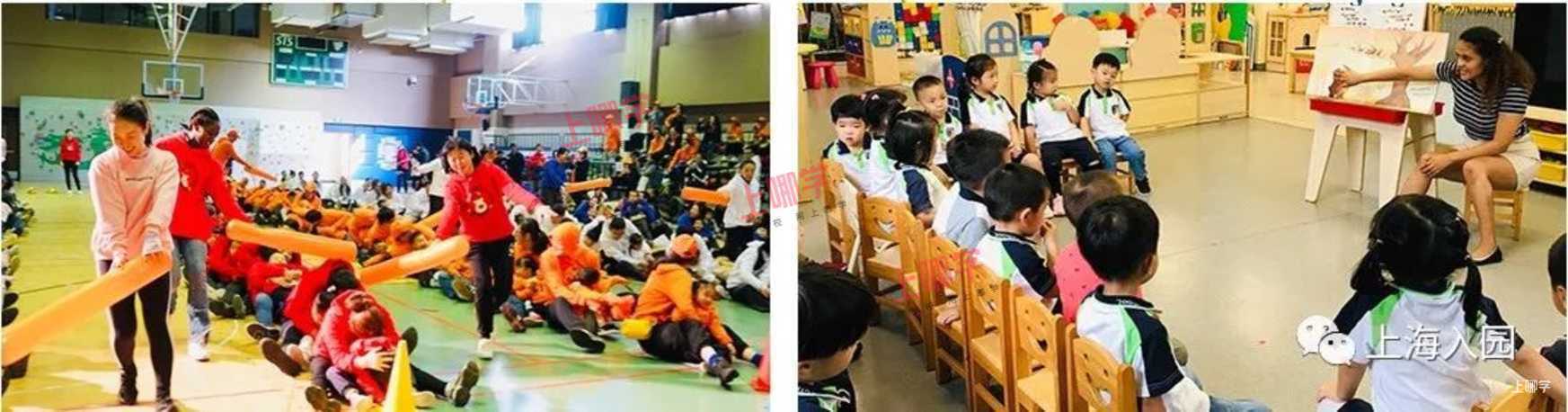 常青藤幼儿园丨家长注意！上海这家高端幼儿园&托育园11月校园开放日出炉！强大师资、超大占地面积，更有校车和晚托...相关资料 34