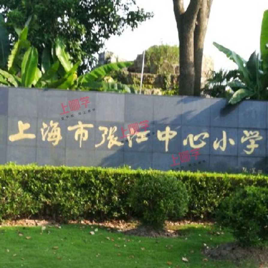 张江镇中心小学2021年秋季招生简章相关资料