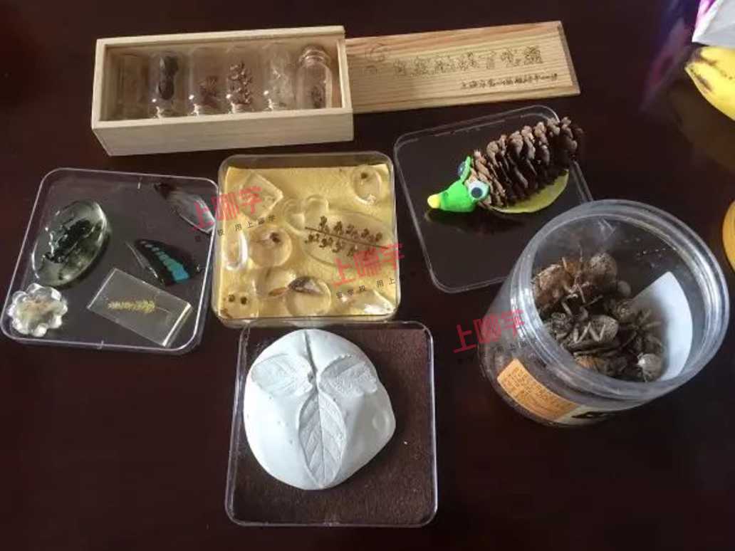 顾村中心校: 百年老校有一张"时髦"课表相关资料 4