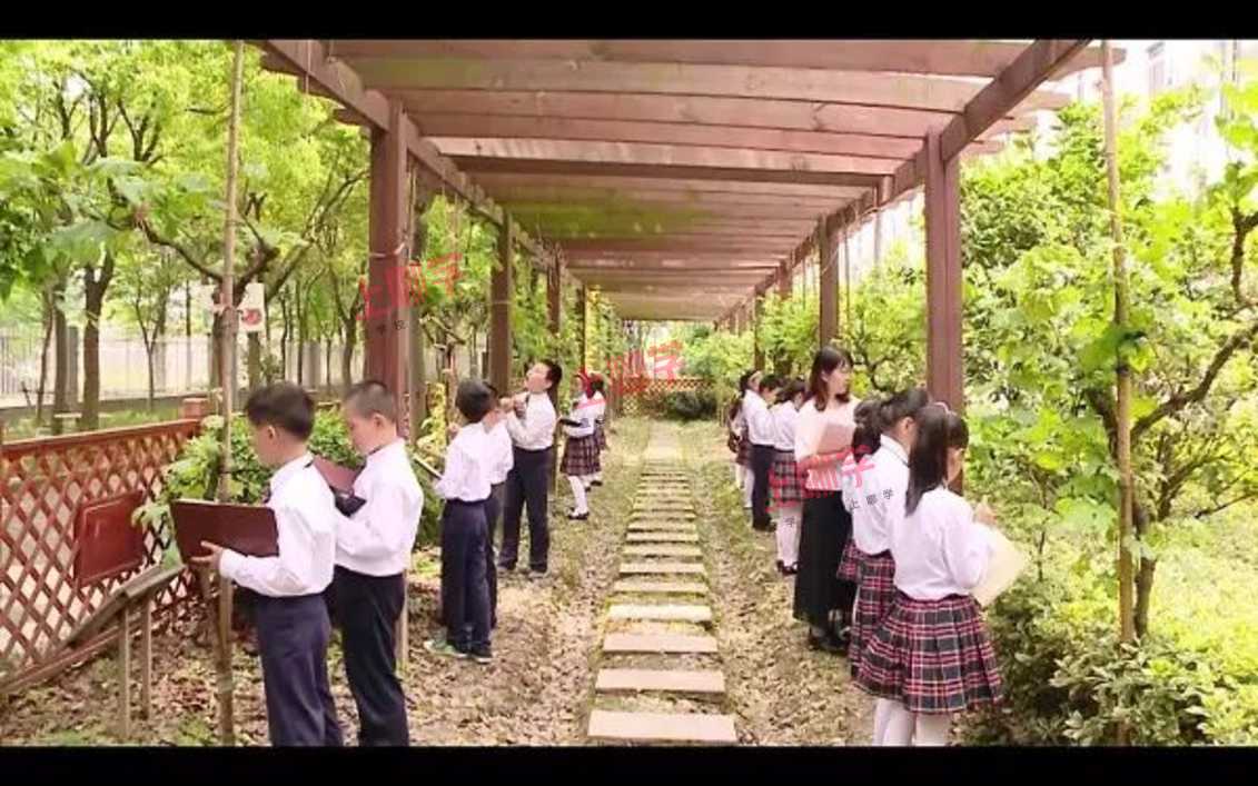马陆小学：把每个孩子培养成6好"小精灵"相关资料 4