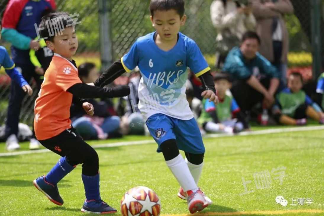 半日免费体验！长宁区这家中、英、日三国语言教学的幼儿园招生报名中~相关资料 5