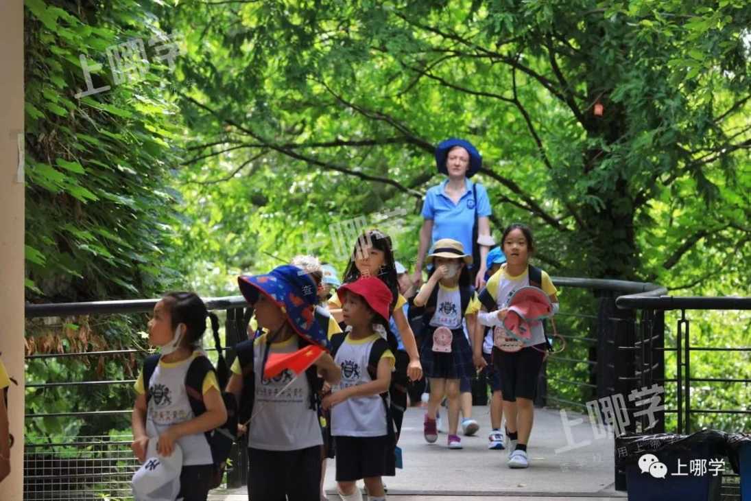 半日免费体验！长宁区这家中、英、日三国语言教学的幼儿园招生报名中~相关资料 6
