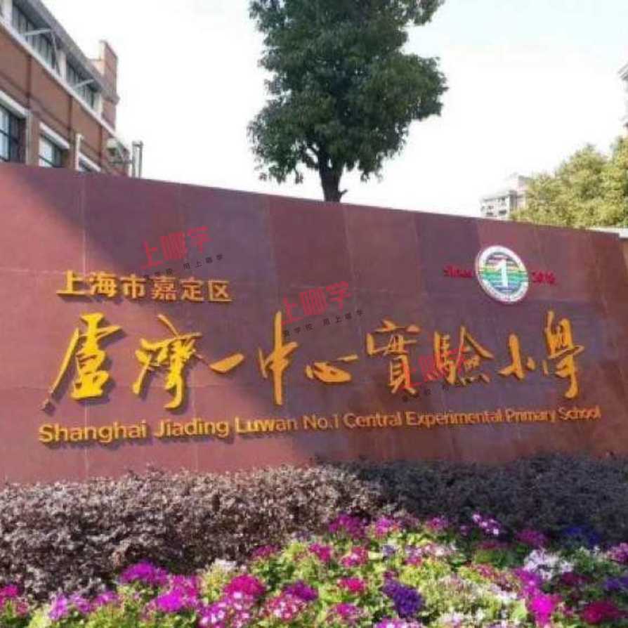 上海市嘉定区卢湾一中心实验小学2022年招生简章！相关资料