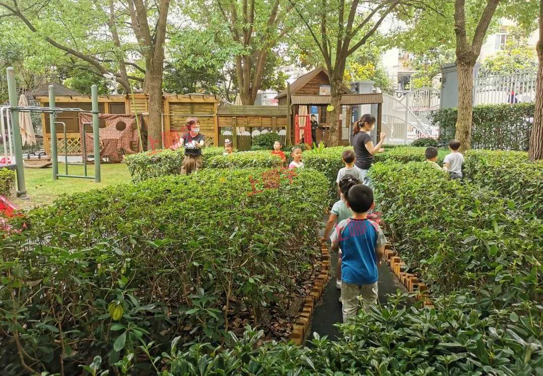 奥林幼儿园丨乐运动、享自然，一起走进黄浦区奥林幼儿园相关资料 3