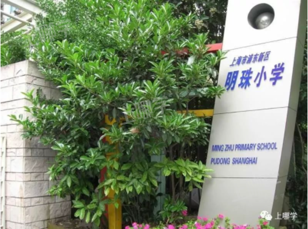 慕了！上海这个片区老牌优质校扎堆，集聚明珠、福外、建平、交中！幼小初高全覆盖，怎么选都不会错！相关资料 6