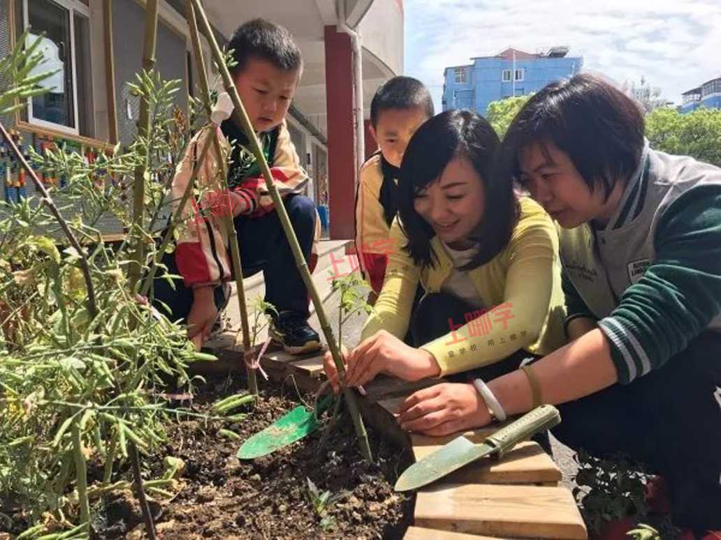 石化一小: 学校里每一堵墙都有表情会"说话"相关资料 3