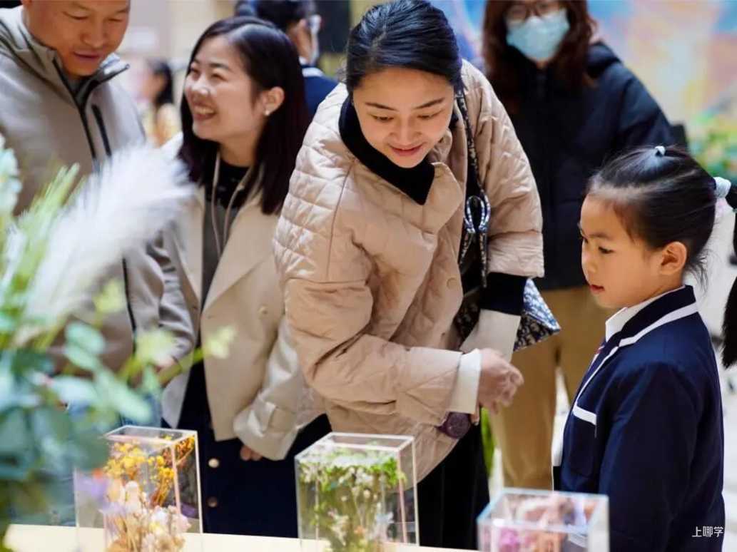 从IB满分到AI创新，这所学校如何定义“未来精英”的成长路径？相关资料 100