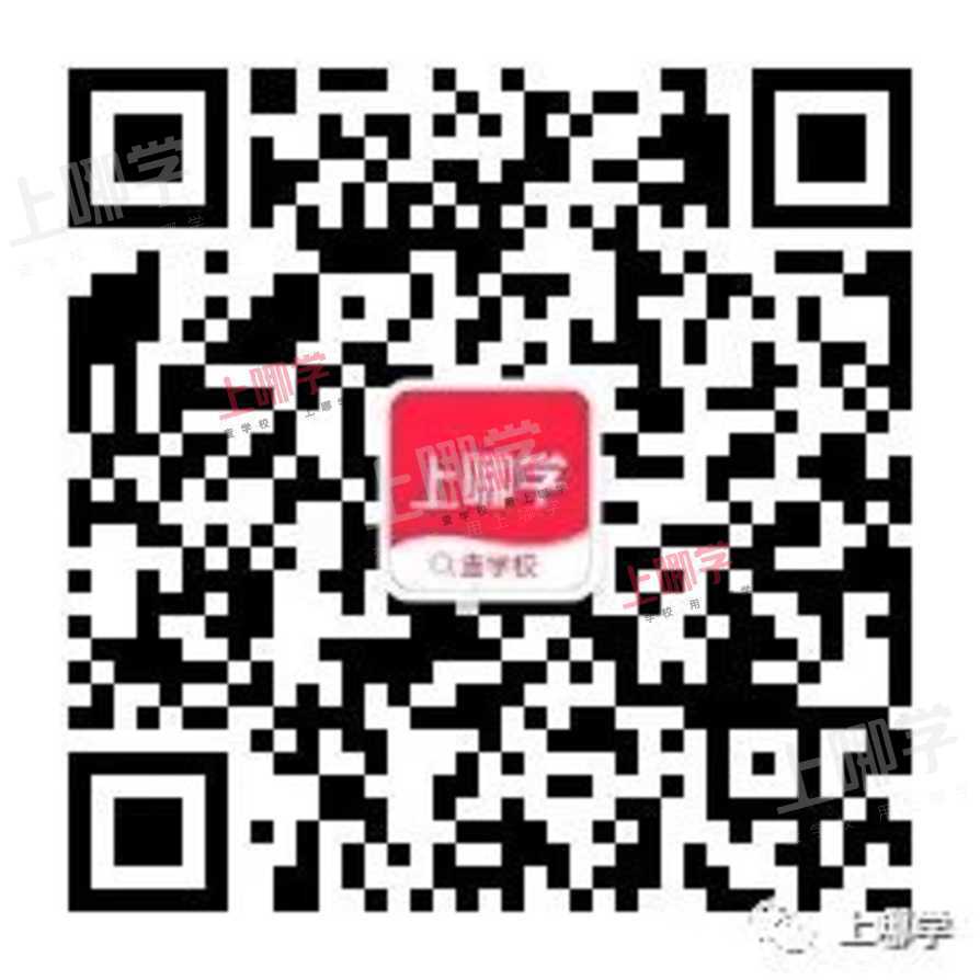 捷径！上海238所一贯制学校名单出炉！浦东超多！徐汇新增1所大有来头的学校！虹口仅3所相关资料