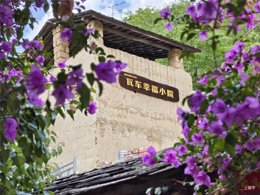 5年少掉近3万所小学，空出来的校舍去了哪里相关资料 6