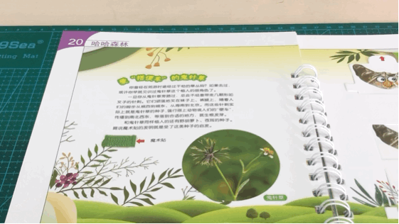 “月亮上有什么？”5岁孩子的回答让网友惊了，让孩子之间拉开差距的是这里相关资料 19