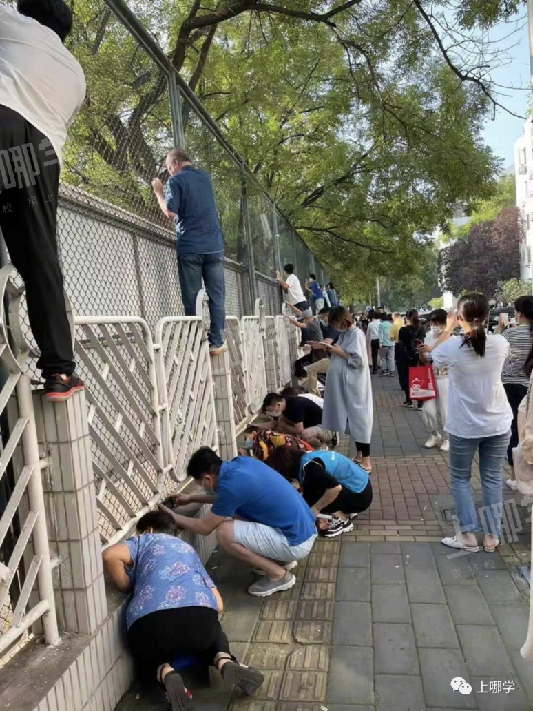 “神兽”归笼，爸妈反应太真实！上海中小学生开学第一天场面有点失控！趴窗、爬墙、蹲地上......相关资料 8