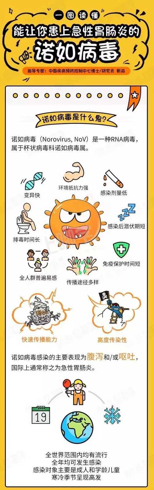 一图读懂能让你患上急性肠胃炎的诺如病毒～相关资料