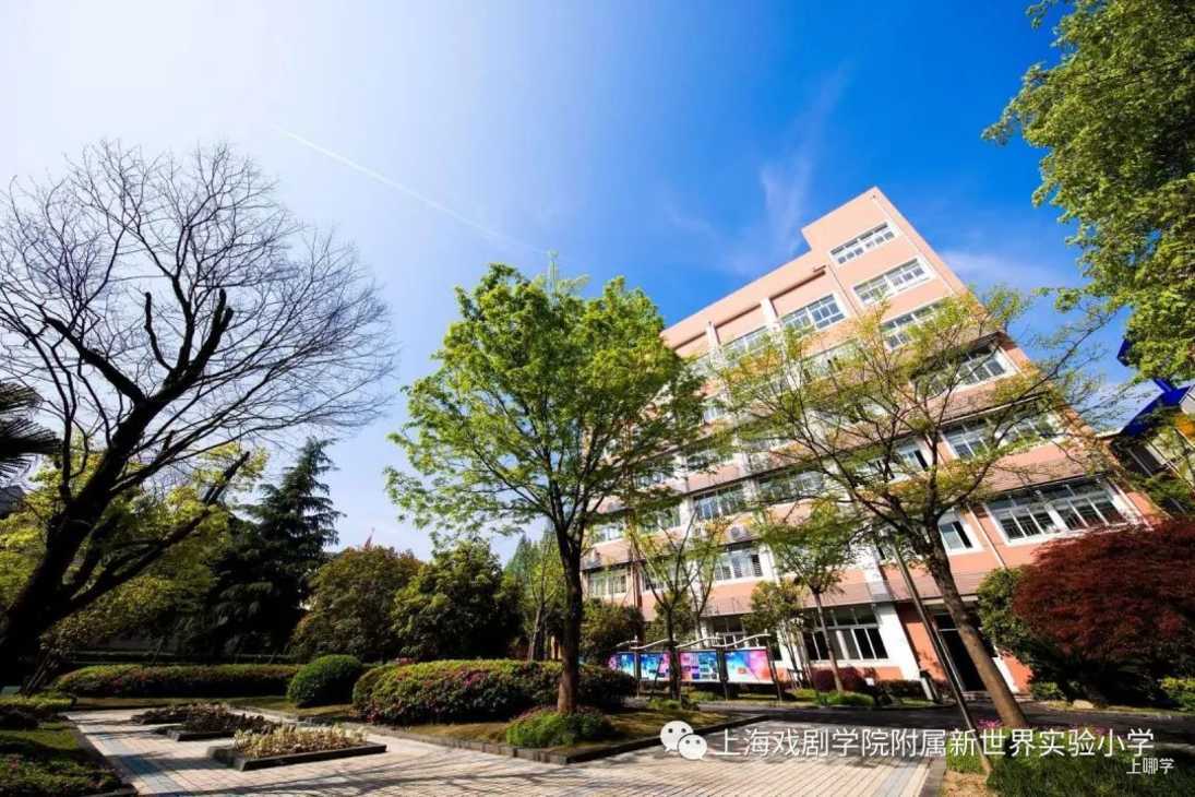 无需对口、不占民办摇号名额！上海15所特殊公办中小学汇总！部分甚至无需中考！相关资料 13