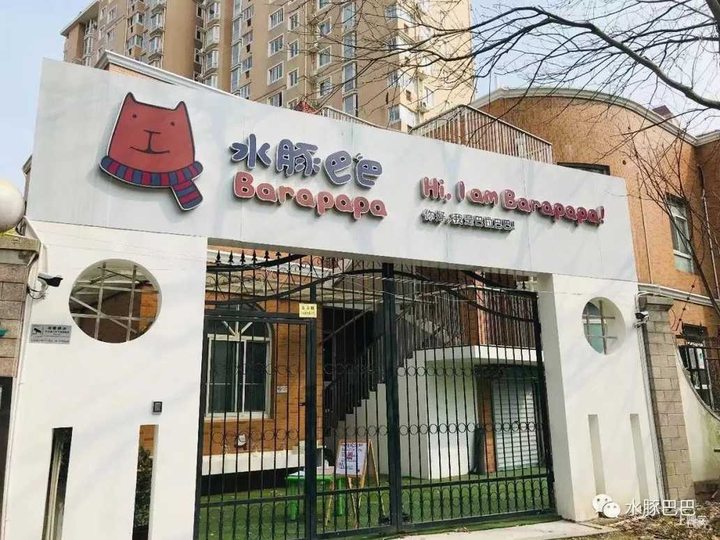 特辑必看！热门幼儿园、托育园！老牌名校、素质教育、更有托幼一体！尤其浦东爸妈，看哪个最适合宝贝？相关资料 19