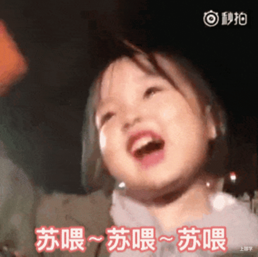 2026年上海幼升小录取喜报分享！一起来接好运啦～相关资料 2
