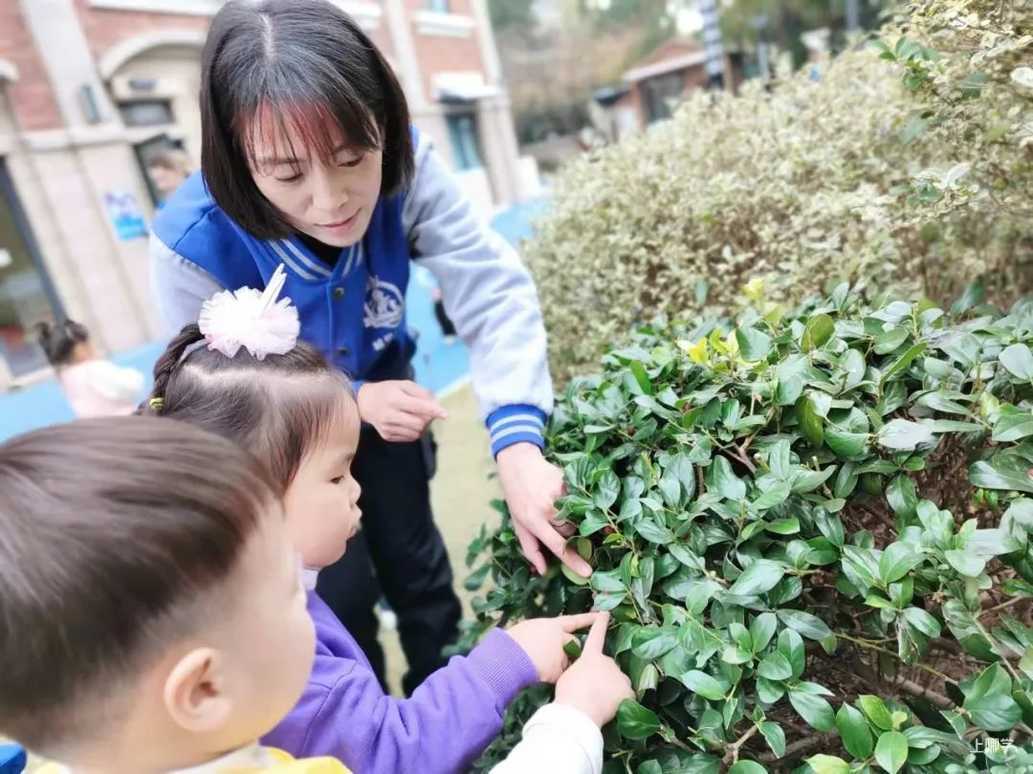 上海宝山区哈贝双语幼儿园2022学年招生简章相关资料 37