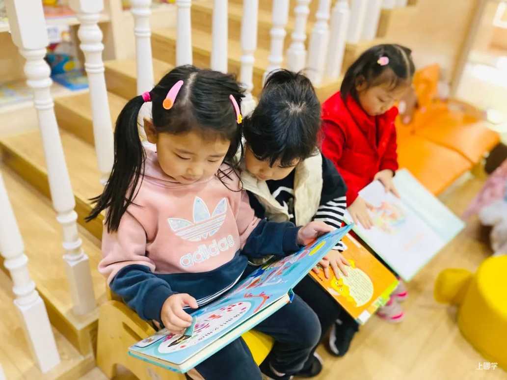 上海宝山区哈贝双语幼儿园2022学年招生简章相关资料 29