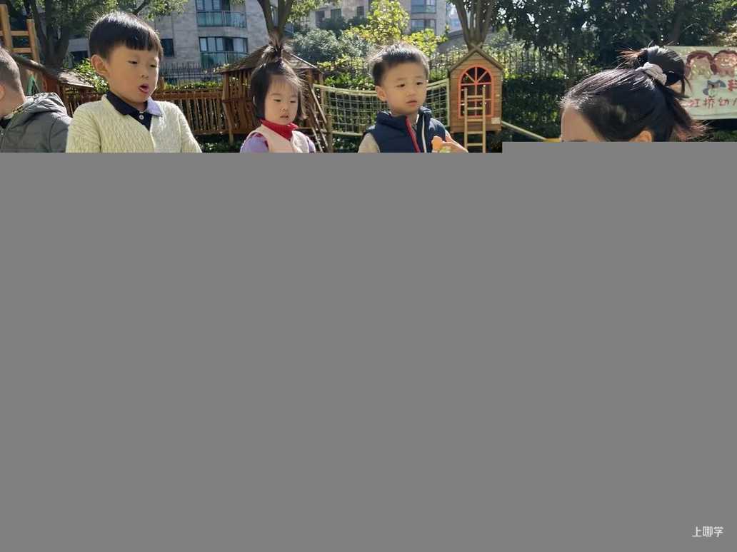 上海这一区新增3所含托班的幼儿园相关资料 9