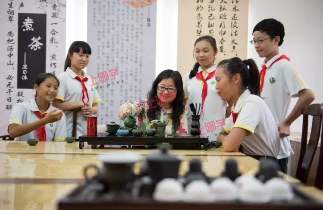 历史课开进博物馆,作文课走进大自然…-上哪学