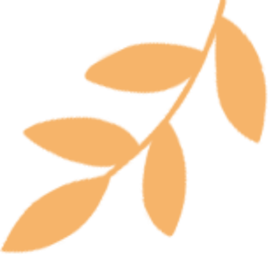上海市青少年活动中心2026年寒假班、春季班报名开始！相关资料 7