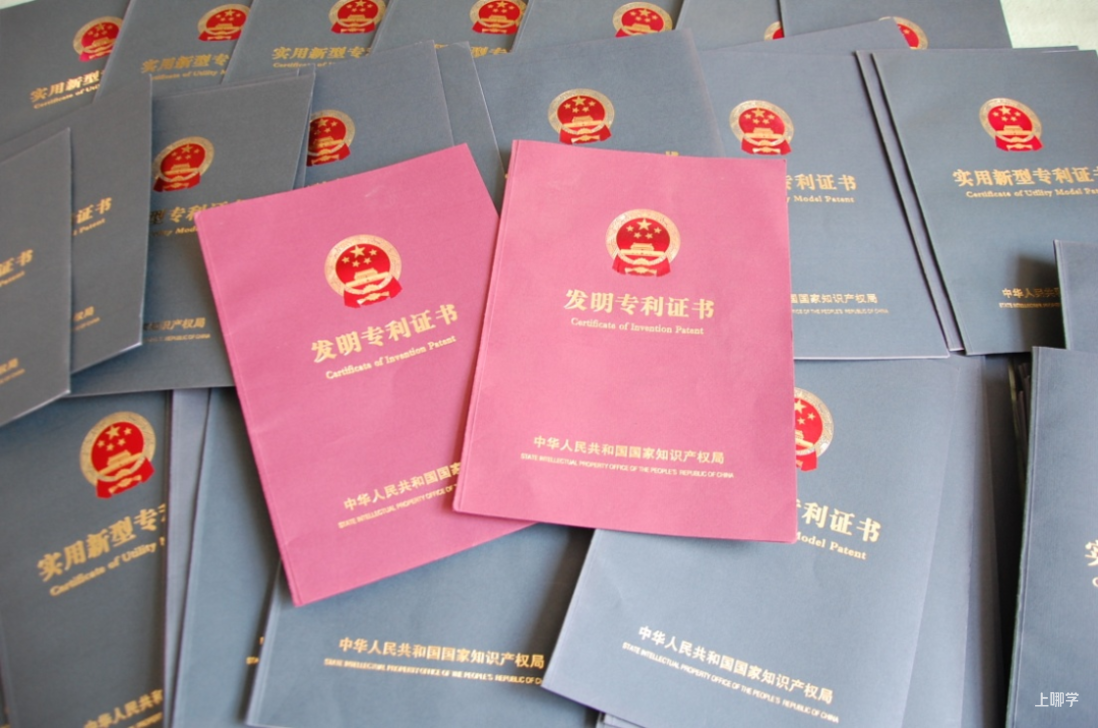 喜讯！金山这所学校入选首批上海市学生（青少年）科创教育基地相关资料 4