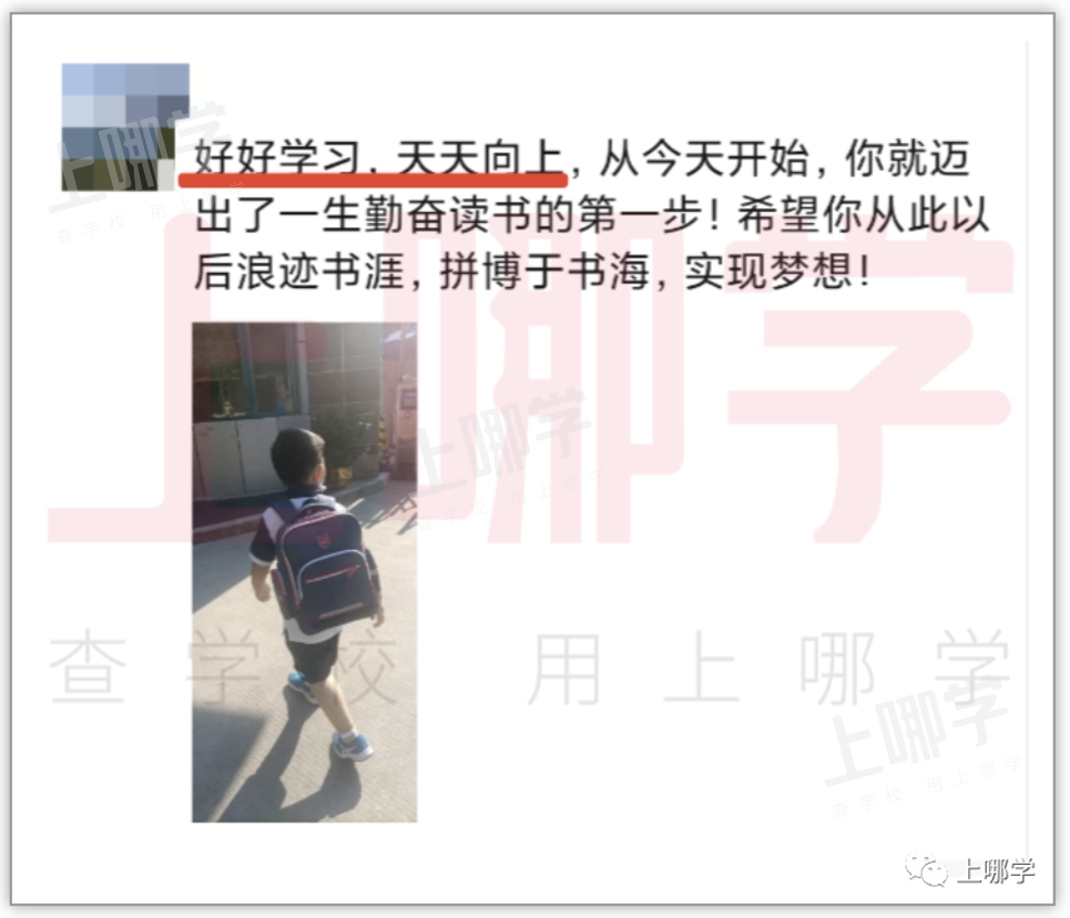 “神兽”归笼，爸妈反应太真实！上海中小学生开学第一天场面有点失控！趴窗、爬墙、蹲地上......相关资料 22