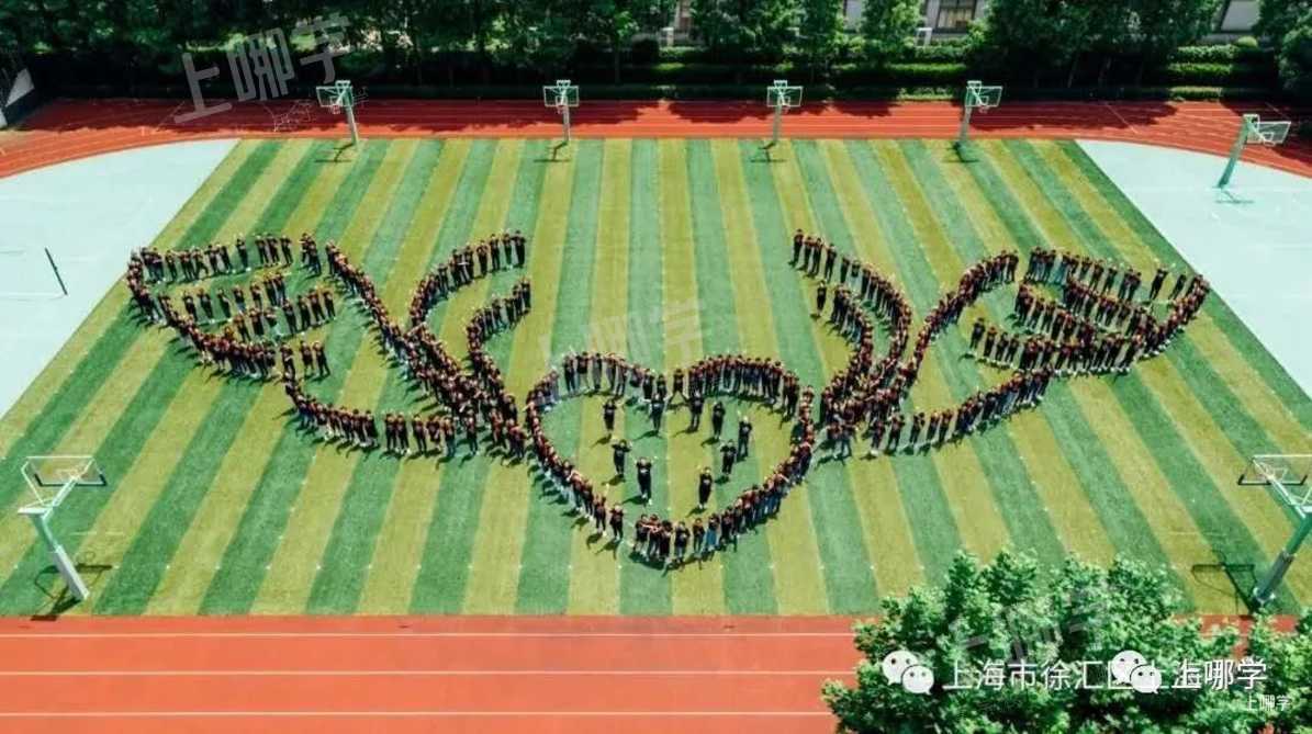 热议双学区！上海30组好小学+好初中汇总！今年新增几组好地段！公办学区房双保险！相关资料 6