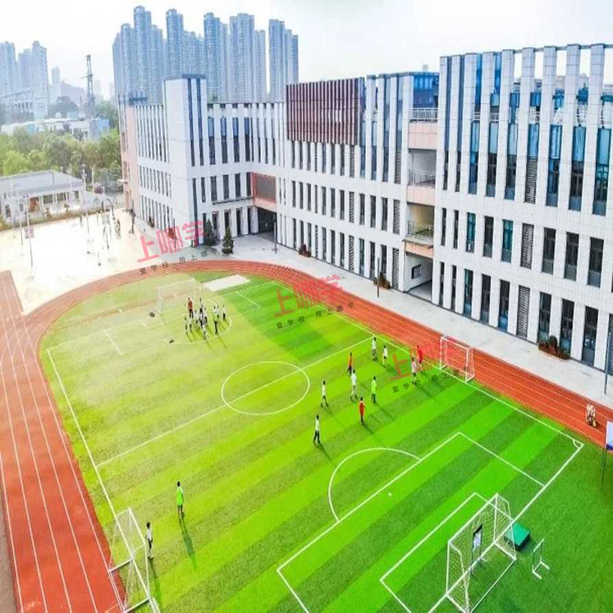 深圳国际学校收费标准_国际学校深圳_深圳国际学校有哪些