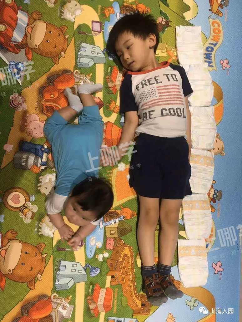 芷江中路幼儿园丨入户满2年才稳妥！上海这所公办示范园4校区摇号招生！对口范围特别广！相关资料 11