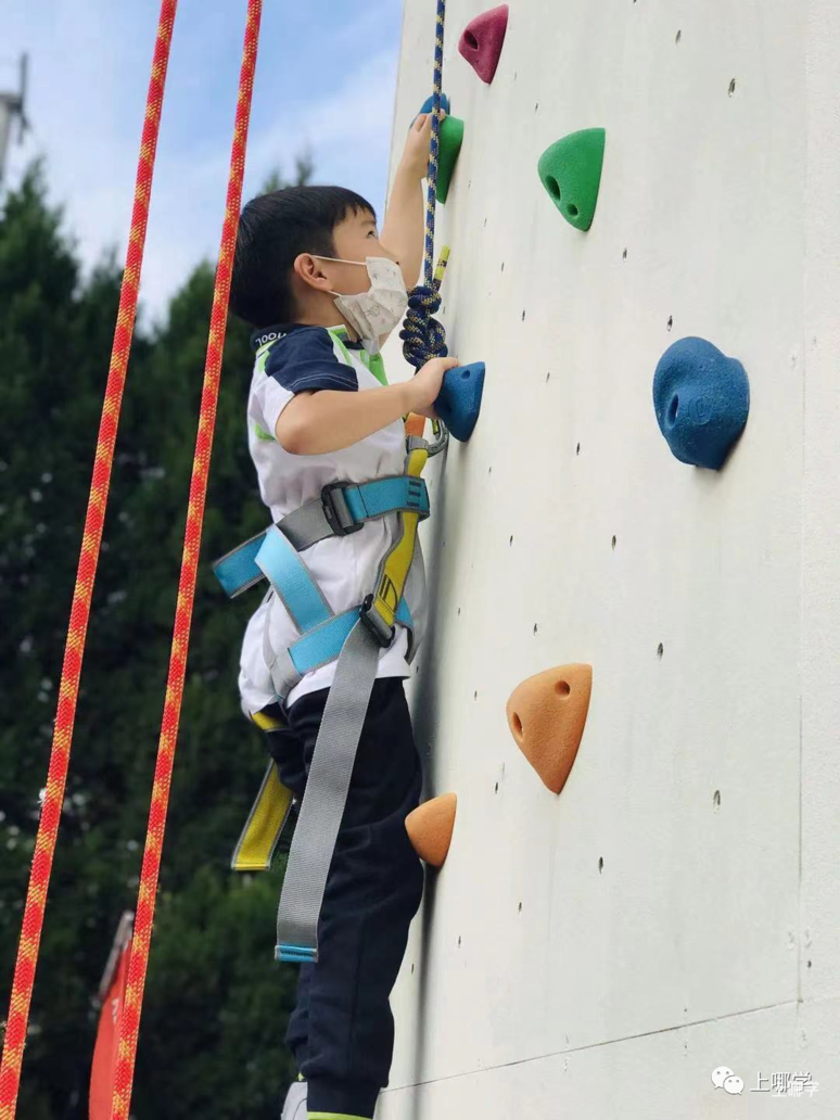 双轨制双通道！上海这所民办小学开始2022咨询了！附学费信息+招生范围+开放日预约！相关资料 29