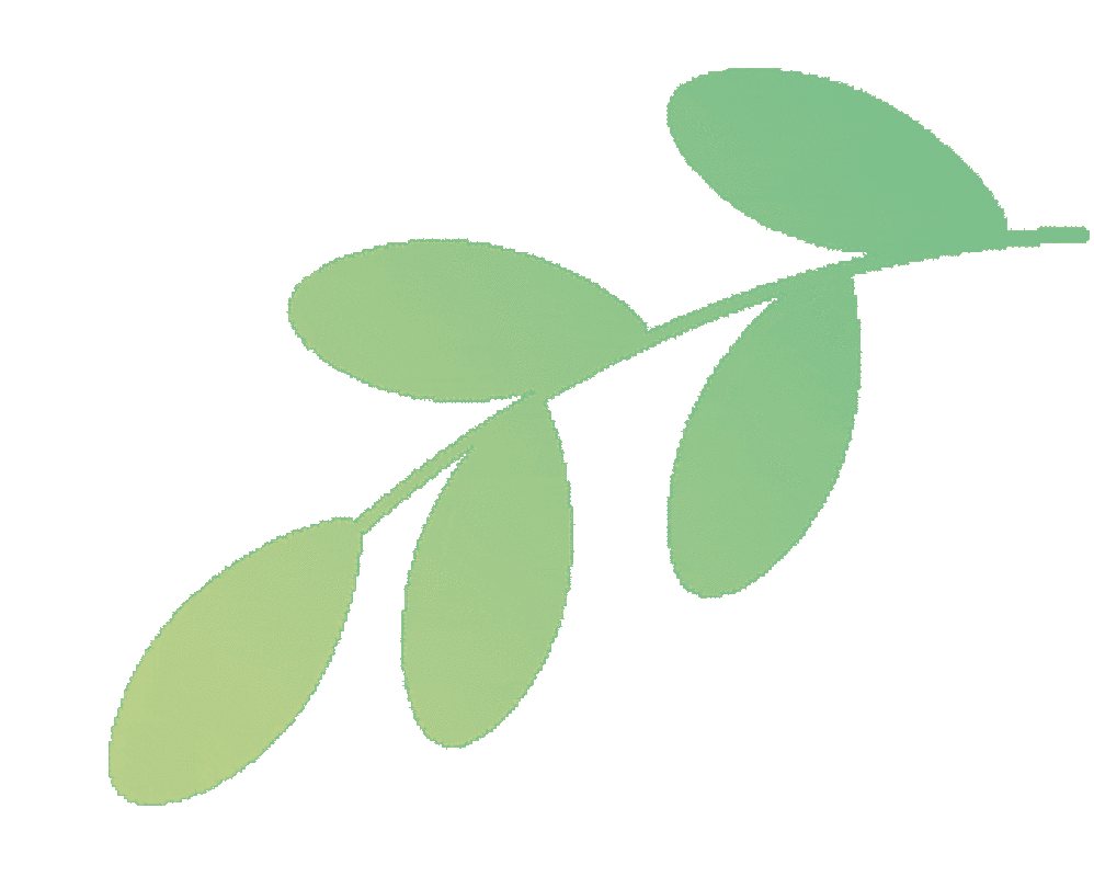 3月15日起施行！上海市教委：每所小学和初中开展4种以上艺术项目！相关资料 2