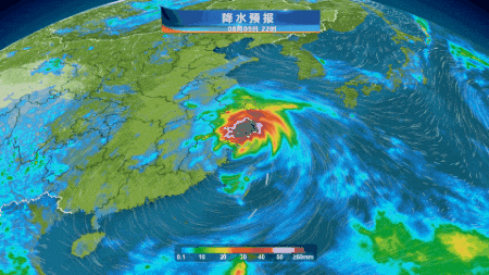 “白海豚”再次登陆！上海青少年中心发布紧急停课通知！相关资料 4