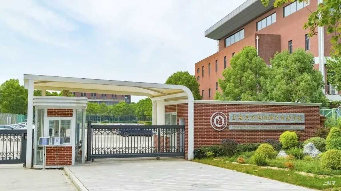 宝山华二小学图片